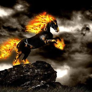 Meet your Posher, Faye